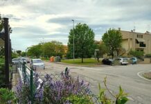 Panaroni interroga il Comune: “Chi deve curare il verde nelle ex zone Peep di S.Orso?”