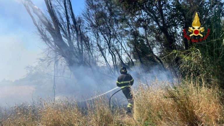 In fiamme 20 ettari di campo agricolo a Santa Maria dell’Arzilla. Intervento dei Vigili del Fuoco