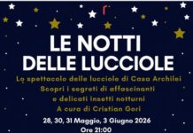 Alla scoperta delle lucciole: ultimo appuntamento a Casa Archilei