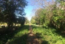 Ferrovia Fano-Urbino, il Comitato: “Un terzo studio è inutile, si punti sulla ciclovia”