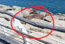 Pesaro, Fratelli d’Italia denuncia il degrado del lungomare: pronta un’interrogazione urgente