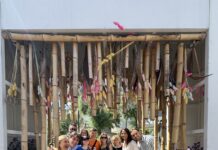 Pesaro, torna il viale estivo: palme, fiori e cielo stellato
