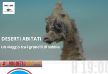 BrodettoFest, il mare raccontato da scienziati e 500 studenti