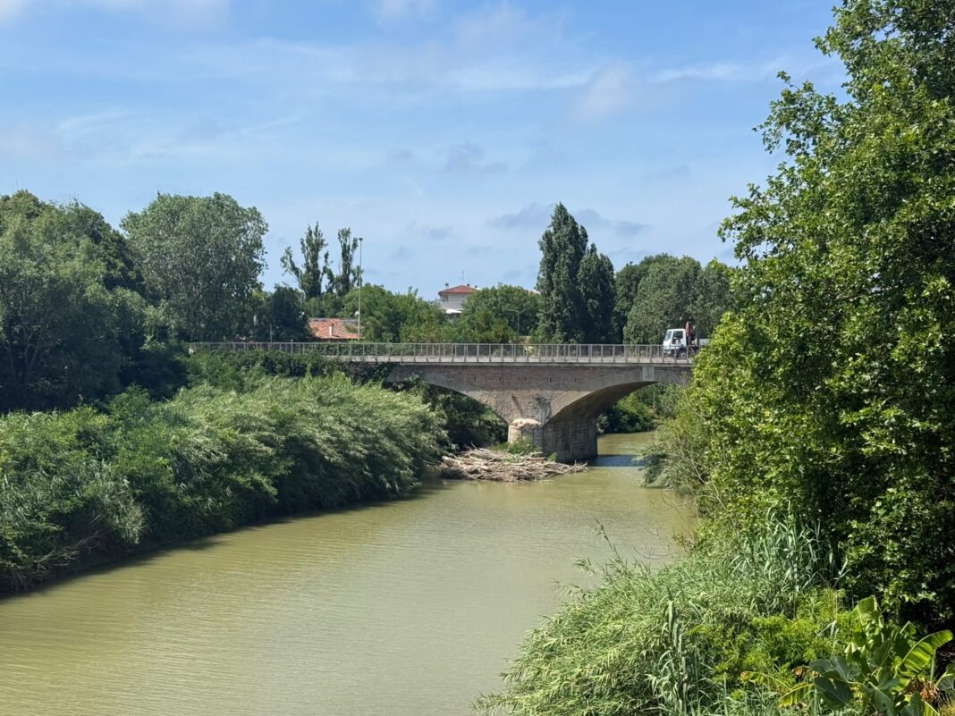 PHOTO-2026-06-16-14-57-45 (1)