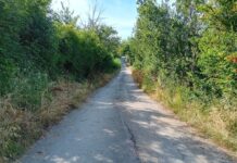 Caminate, Panaroni (M5S): “Strade dissestate e collegamenti difficili al cimitero”