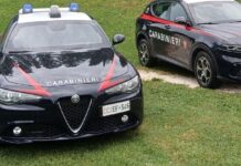 Pesaro – Spaccio al Parco Miralfiore, arrestato un giovane: sequestrate eroina, cocaina e 12mila euro