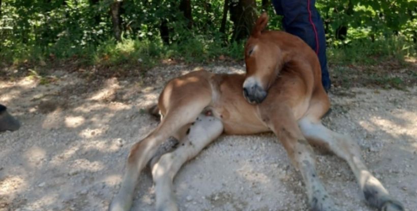 foto occhio alla notizia (24)