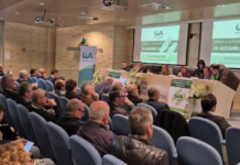 Cia Marche partecipa alla manifestazione di Bari per il grano italiano