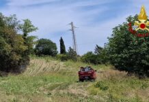 Incendio di vegetazione a Pesaro: fiamme nella zona della Torraccia, interessati 15.000 metri quadrati