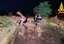 Maltempo: forte vento nelle Marche, oltre 70 interventi dei Vigili del Fuoco