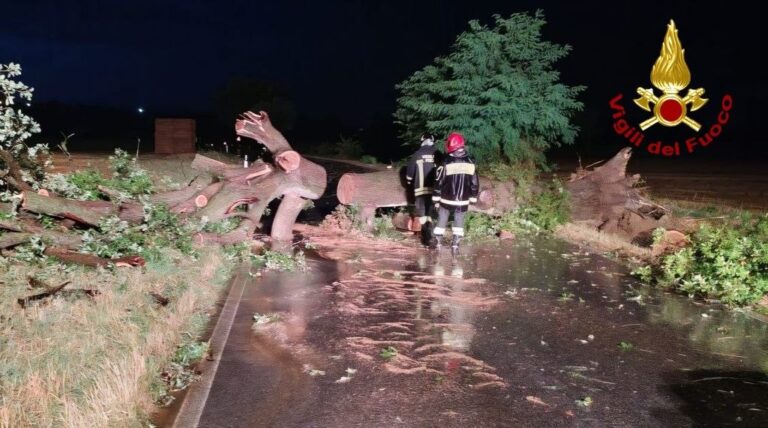 Maltempo: forte vento nelle Marche, oltre 70 interventi dei Vigili del Fuoco