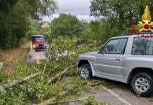 Maltempo nelle Marche: oltre 100 interventi dei Vigili del Fuoco