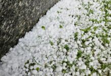 Maltempo del 21 luglio, Vallefoglia avvia la raccolta delle segnalazioni dei danni