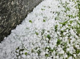 Maltempo del 21 luglio, Vallefoglia avvia la raccolta delle segnalazioni dei danni