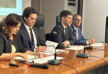 Agricoltura, dalla Regione Marche un piano strategico integrato da circa 210 milioni di euro