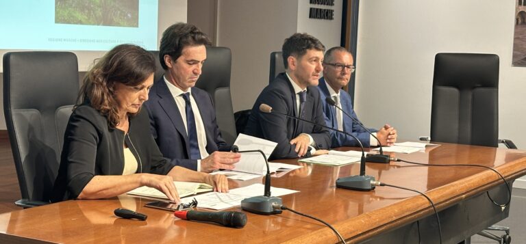 Agricoltura, dalla Regione Marche un piano strategico integrato da circa 210 milioni di euro