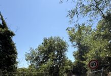 Pesaro, riapre al traffico strada Angelo Custode
