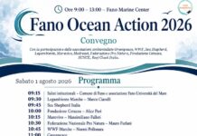 Fano Ocean Action, ambientalisti a confronto per salvare l’Adriatico