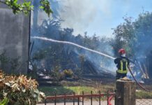 Cartoceto, Incendio in una legnaia: Vigili del Fuoco in azione