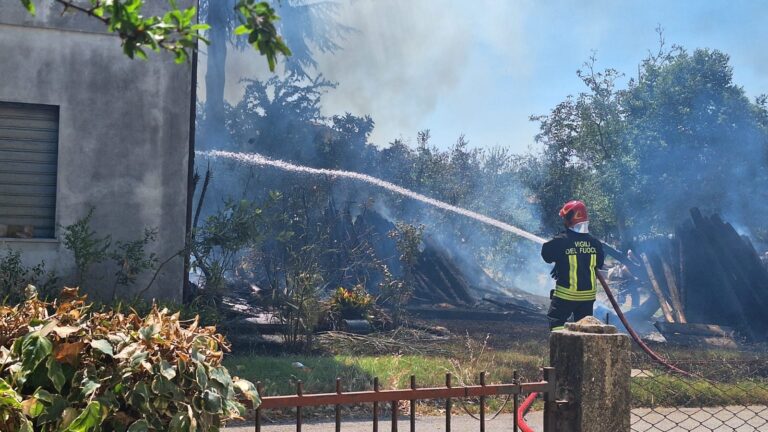 Cartoceto, incendio in una legnaia: Vigili del Fuoco in azione