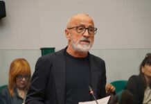Maltempo e danni all’agricoltura marchigiana, Cesetti (PD): «La giunta chieda subito al governo lo stato di emergenza o lo stato di calamità naturale»