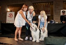 Pesaro – Piazza del Popolo celebra i meticci: Lapo e Astra re e regina della serata