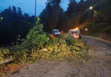 Maltempo, oltre trenta interventi sulle strade provinciali nel Pesarese: tutte riaperte e agibili