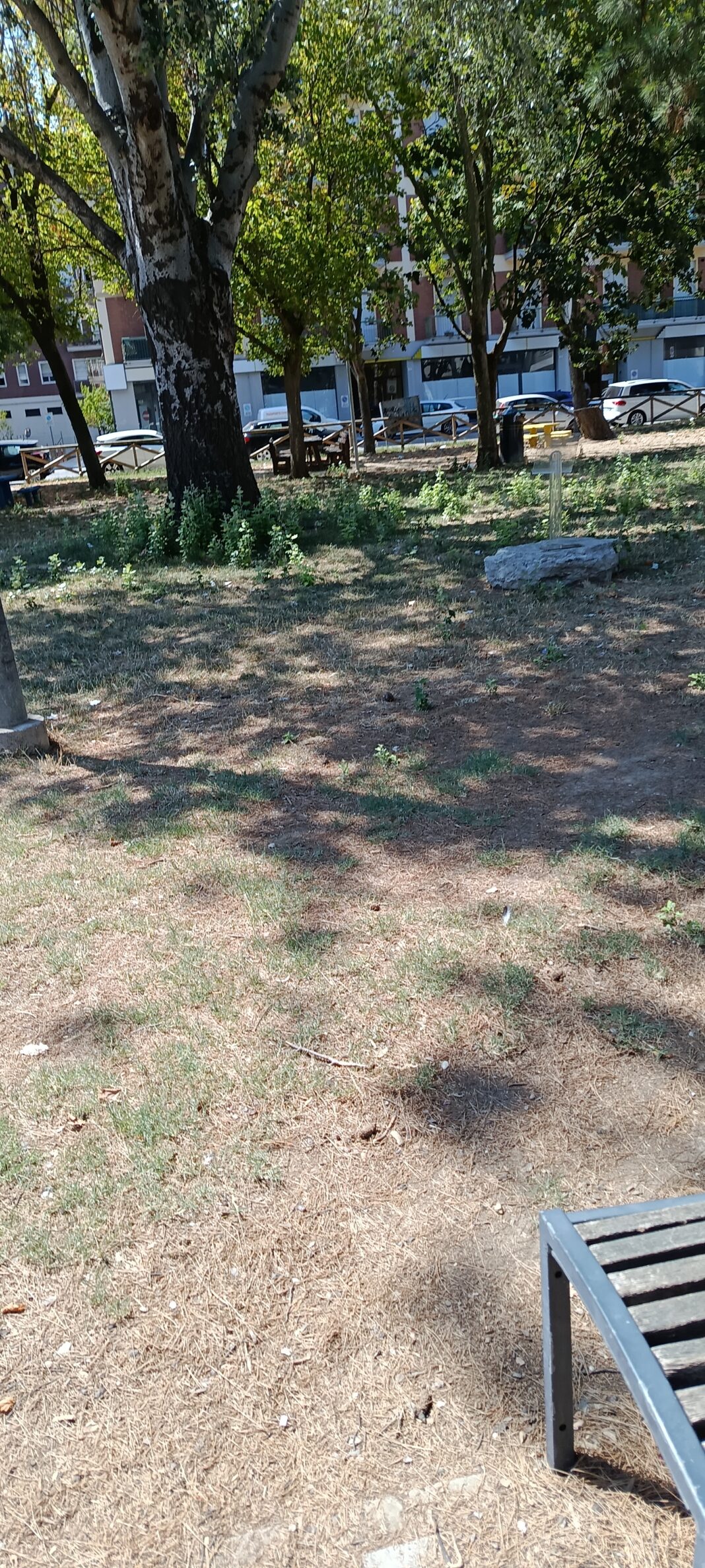 1000154505