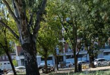 Pesaro, “parchi di serie A e di serie B: dopo il caso MMS, esplode il nodo ASPES e Verde Pubblico”