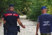 Serra Sant’Abbondio, torrente Cesano in secca: salvati centinaia di pesci