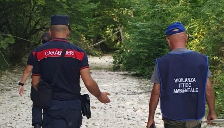 Serra Sant’Abbondio, torrente Cesano in secca: salvati centinaia di pesci