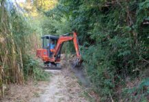 Pesaro, 100mila euro per pulire e mettere in sicurezza fossi e corsi d’acqua