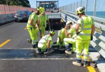 A14, lunghe code nelle Marche: intervento urgente sul viadotto San Biagio. Acquaroli: «La sicurezza prima di tutto»