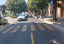 Fano, quattro incidenti in mattinata: interventi della Polizia Locale
