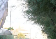 Fiera di San Nicola, pass gratuiti per residenti e alberghi della zona mare