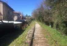Fano-Urbino, Comitato Ciclovia del Metauro: “Lo studio smentisce 40 anni di promesse”