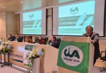 Marche, vendemmia 2026 in anticipo ma caldo e grandine pesano sui raccolti
