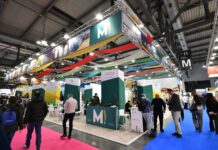 ATIM, il bilancio del primo semestre 2026: Marche promosse in Italia e all’estero