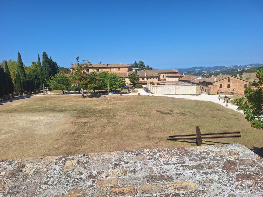Manutenzione verde_2