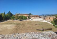 Manutenzione di verde e cimiteri: Gambini ringrazia gli operai di Urbino Servizi