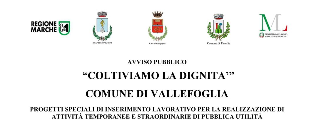PRIMA PAG 13 8 2026