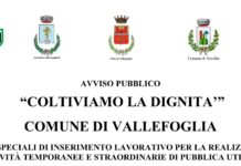 “Coltiviamo la Dignità”: lavoro e inclusione per gli over 60 a Vallefoglia, Tavullia e Montelabbate
