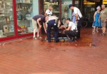 Fano, maltratta il cane e si oppone ai Carabinieri: fermato un cinquantenne