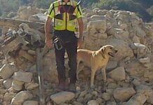 Macerata, morto Marley: per dieci anni al fianco dei Vigili del fuoco nelle emergenze
