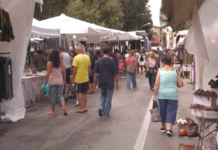 Fiera di San Nicola 2026, Pesaro fa il pieno: oltre 500 espositori e migliaia di visitatori