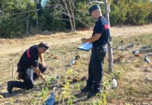 Preapertura della caccia nelle Marche, 160 controlli e 13 sanzioni