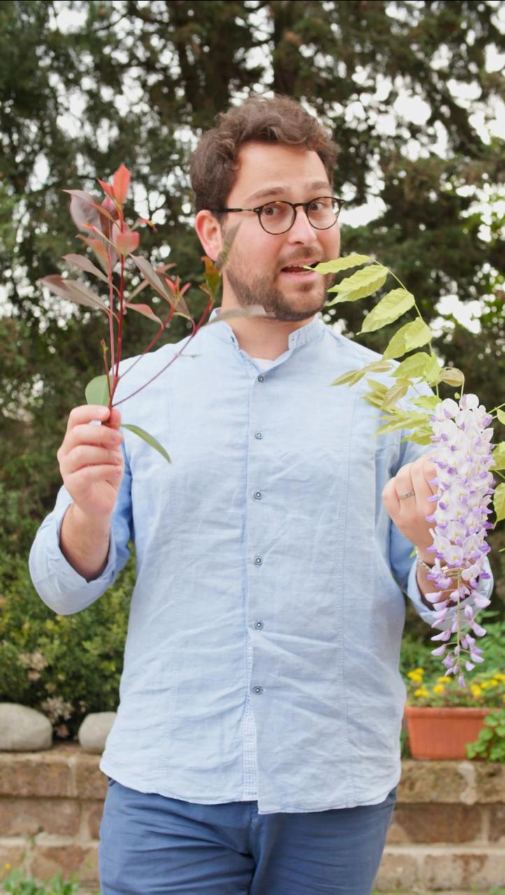 francesco broccolo
