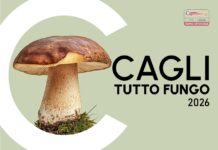 Cagli Tutto Fungo 2026: due giornate tra escursioni, sapori e cultura del bosco
