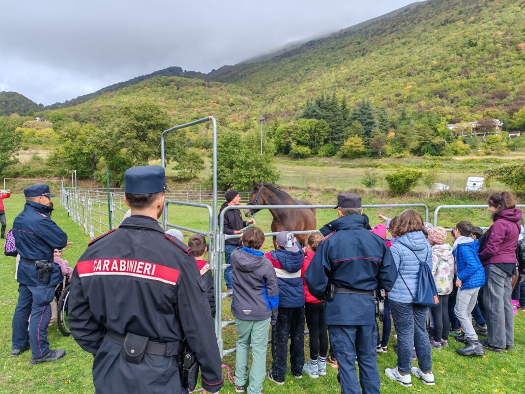 Alunnni scoprono il cavallo del Catria