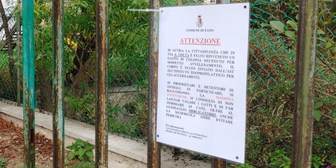 Progetto senza titolo (9)